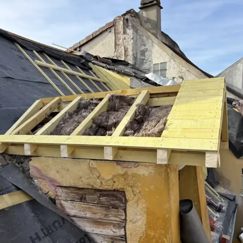 renovation chien assis chanteloup les vignes